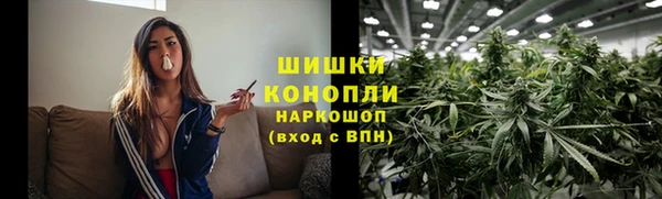 ПСИЛОЦИБИНОВЫЕ ГРИБЫ Гусь-Хрустальный