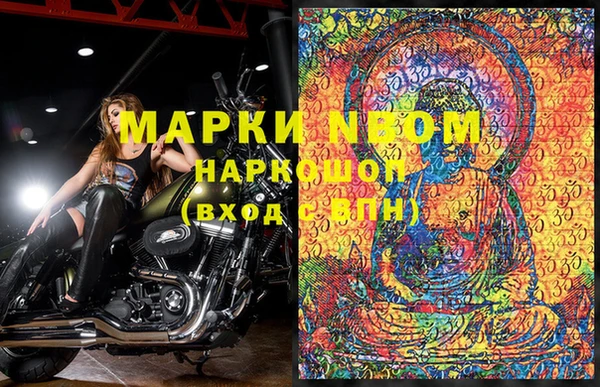 ПСИЛОЦИБИНОВЫЕ ГРИБЫ Гусь-Хрустальный