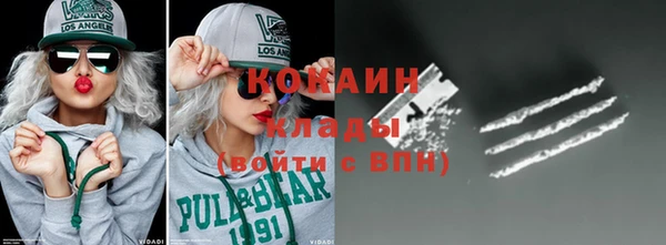 ПСИЛОЦИБИНОВЫЕ ГРИБЫ Гусь-Хрустальный