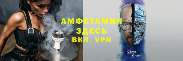 ПСИЛОЦИБИНОВЫЕ ГРИБЫ Гусь-Хрустальный