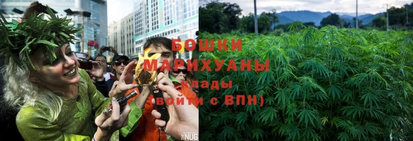 ПСИЛОЦИБИНОВЫЕ ГРИБЫ Гусь-Хрустальный