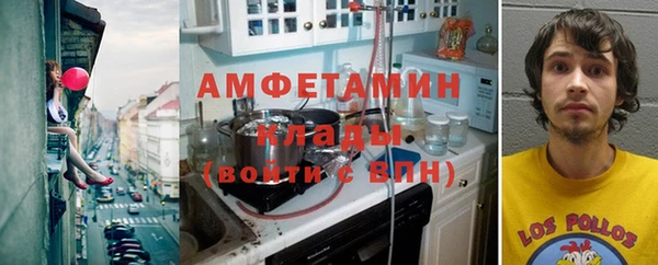 ПСИЛОЦИБИНОВЫЕ ГРИБЫ Гусь-Хрустальный