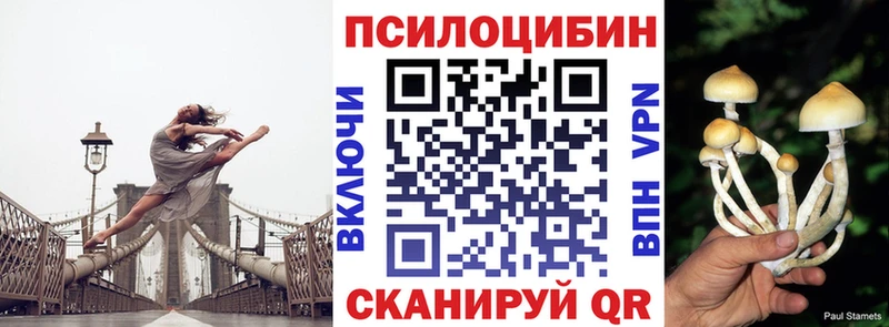 kraken ONION  Москва  Галлюциногенные грибы Magic Shrooms  купить закладку 