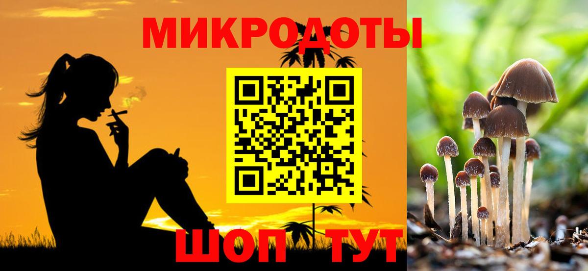 Галлюциногенные грибы Psilocybine cubensis Москва